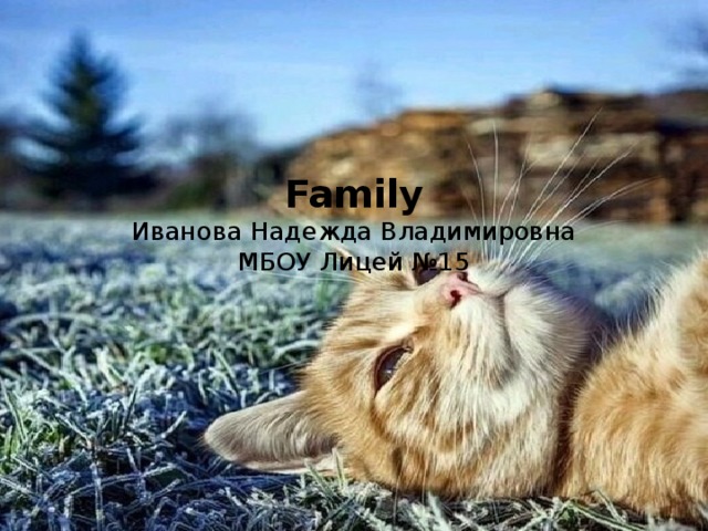 Family  Иванова Надежда Владимировна  МБОУ Лицей №15 