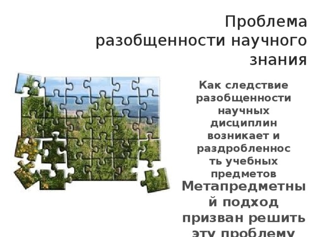 Проблема разобщенности научного знания Как следствие разобщенности научных дисциплин возникает и раздробленность учебных предметов Метапредметный подход призван решить эту проблему 