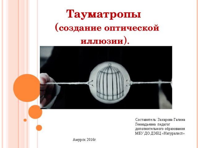 Тауматропы  ( создание оптической иллюзии ). Составитель: Захарова Галина Геннадьевна педагог дополнительного образования МБУ ДО ДЭБЦ «Натуралист» Амурск 2016г. 