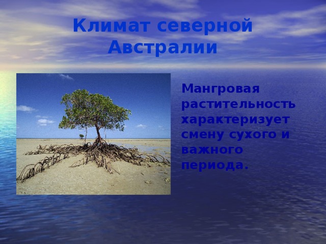 Климат северной Австралии  Мангровая растительность характеризует смену сухого и важного периода.