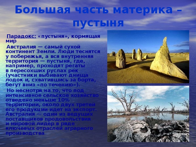 Большая часть материка – пустыня  Парадокс: «пустыня», кормящая мир  Австралия — самый сухой континент Земли. Люди теснятся у побережья, а вся внутренняя территория — пустыня, где, например, проходят регаты в пересохших руслах рек (участники выбивают днища лодок и, схватившись за борта, бегут вниз «по течению»).  Но несмотря на то, что под интенсивное сельское хозяйство отведено меньше 10% территории, около двух третей его продукции идет на экспорт. Австралия — один из ведущих поставщиков продовольствия и мировой лидер в ряде ключевых отраслей аграрного производства