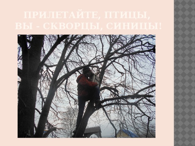 Прилетайте, птицы,   Вы - скворцы, синицы! 