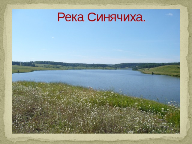 Река Синячиха.  