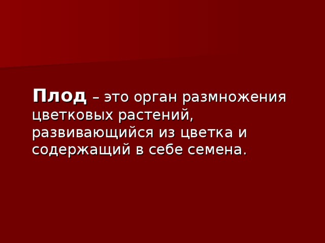   Плод 
