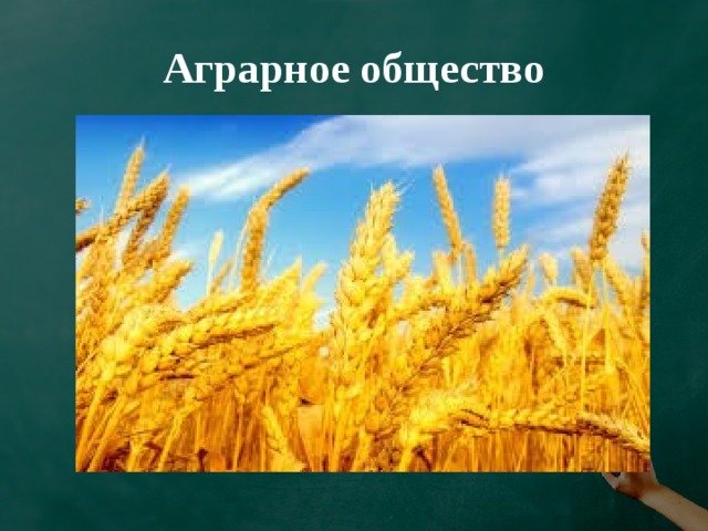 Аграрное общество 