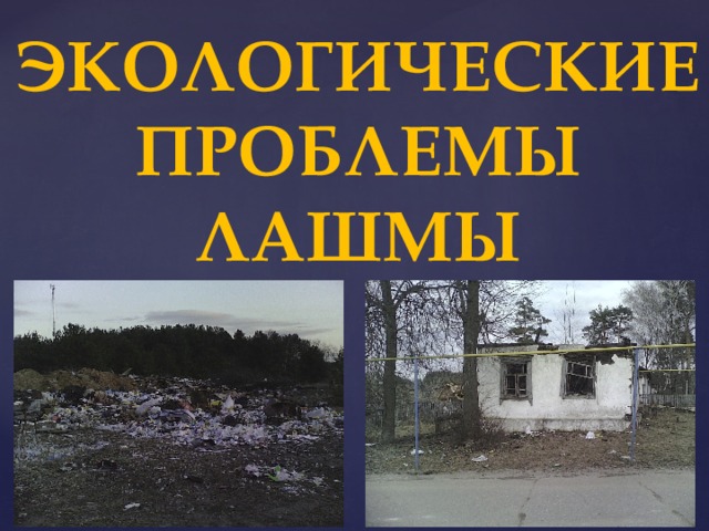 Экологические Проблемы Лашмы 