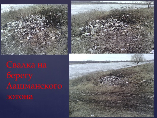 Свалка на берегу Лашманского зотона 