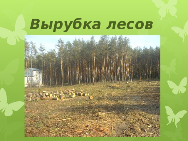 Вырубка лесов 