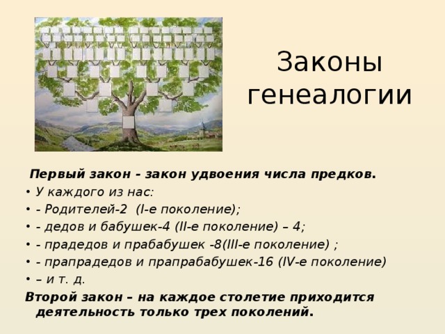 Законы генеалогии  Первый закон - закон удвоения числа предков. У каждого из нас: - Родителей-2 (I-е поколение); - дедов и бабушек-4 (II-е поколение) – 4; - прадедов и прабабушек -8(III-е поколение) ; - прапрадедов и прапрабабушек-16 (IV-е поколение) – и т. д. Второй закон – на каждое столетие приходится деятельность только трех поколений.  
