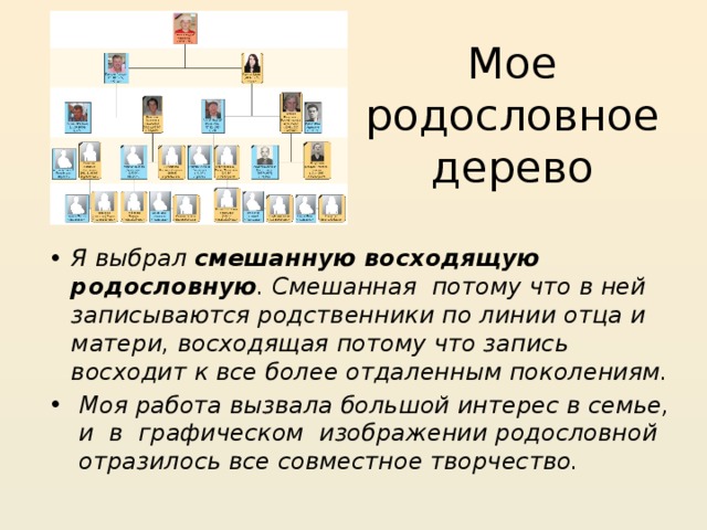 Мое родословное дерево Я выбрал  смешанную восходящую родословную . Смешанная  потому что в ней записываются родственники по линии отца и матери, восходящая потому что запись восходит к все более отдаленным поколениям.   Моя работа вызвала большой интерес в семье,  и  в  графическом  изображении родословной  отразилось все совместное творчество. 