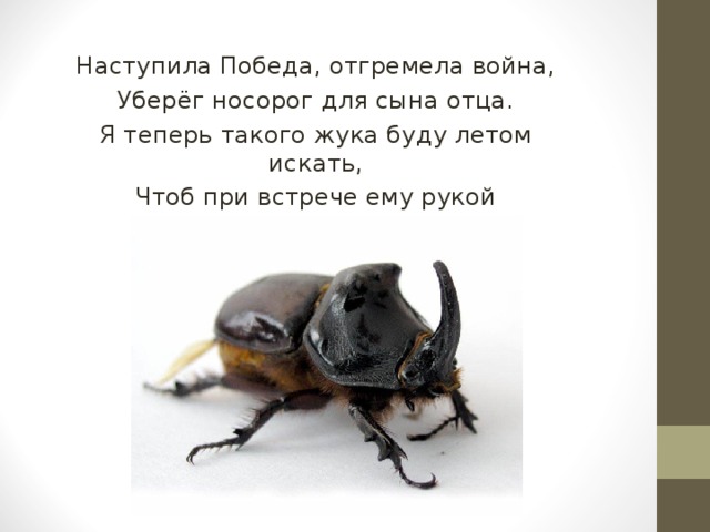 Наступила Победа, отгремела война, Уберёг носорог для сына отца. Я теперь такого жука буду летом искать, Чтоб при встрече ему рукой помахать! 