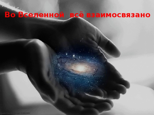 Во Вселенной всё взаимосвязано 
