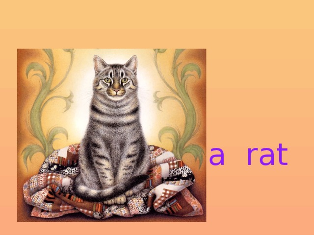  c=r    a rat   