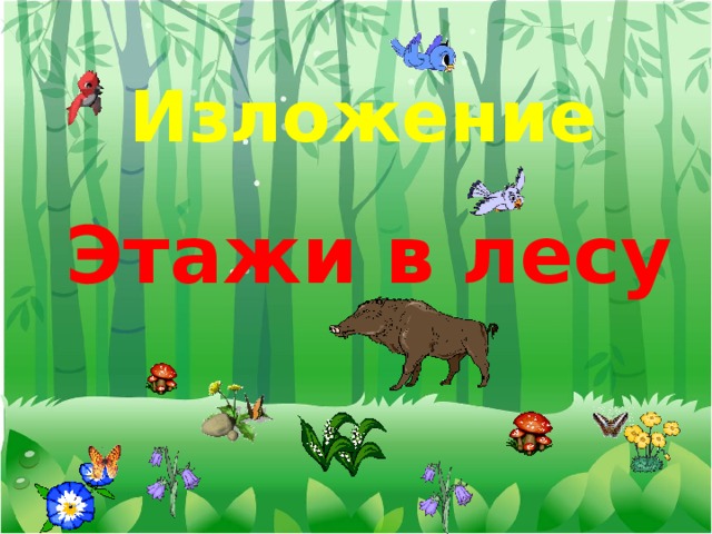 Изложение Этажи в лесу