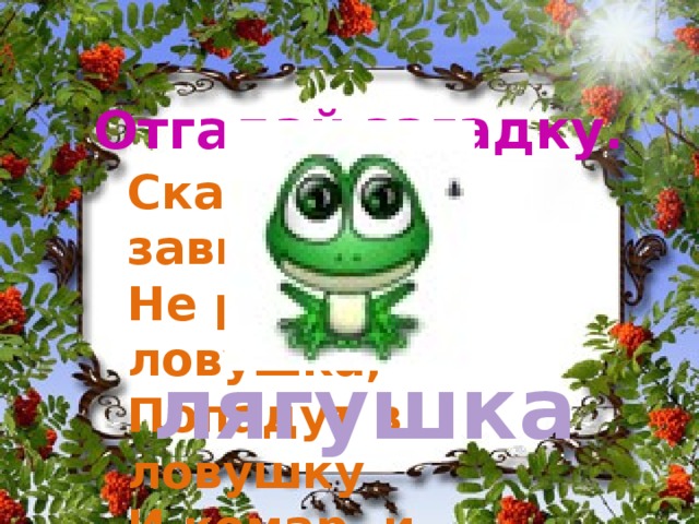 Отгадай загадку. Скачет завирушка, Не рот, а ловушка, Попадут в ловушку И комар, и мушка. лягушка