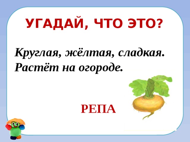 Угадай, что это? Круглая, жёлтая, сладкая. Растёт на огороде.   РЕПА 