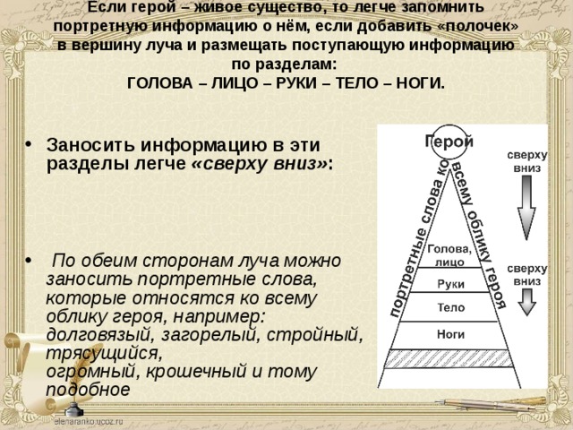Если герой – живое существо, то легче запомнить  портретную информацию о нём, если добавить «полочек»  в вершину луча и размещать поступающую информацию  по разделам:  ГОЛОВА – ЛИЦО – РУКИ – ТЕЛО – НОГИ.   Заносить информацию в эти разделы легче «сверху вниз» :     По обеим сторонам луча можно заносить портретные слова,  которые относятся ко всему облику героя, например:  долговязый, загорелый, стройный, трясущийся,  огромный, крошечный и тому подобное  