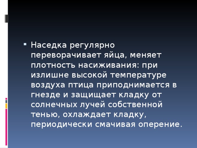 Наседка регулярно переворачивает яйца, меняет плотность насиживания: при излишне высокой температуре воздуха птица приподнимается в гнезде и защищает кладку от солнечных лучей собственной тенью, охлаждает кладку, периодически смачивая оперение. 