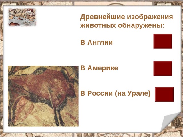 Древнейшие изображения животных обнаружены:  В Англии   В Америке   В России (на Урале) 