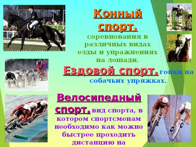 Конный спорт,  соревнования в различных видах езды и упражнениях на лошади. Ездовой спорт,  гонки на собачьих упряжках. Велосипедный спорт,  вид спорта, в котором спортсменам необходимо как можно быстрее проходить дистанцию на велосипедах. 