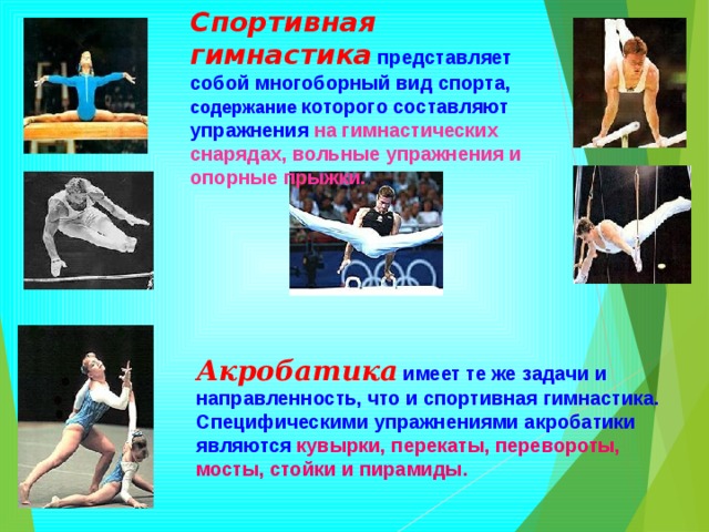 Спортивная гимнастика  представляет собой многоборный вид спорта, содержание которого составляют упражнения  на гимнастических снарядах, вольные упражнения и опорные прыжки. Акробатика  имеет те же задачи и направленность, что и спортивная гимнастика. Специфическими упражнениями акробатики являются  кувырки, перекаты, перевороты, мосты, стойки и пирамиды. 