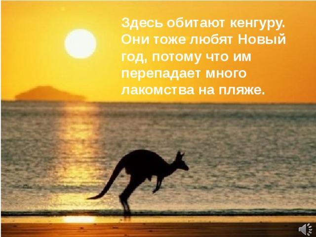 Здесь обитают кенгуру. Они тоже любят Новый год, потому что им перепадает много лакомства на пляже. 
