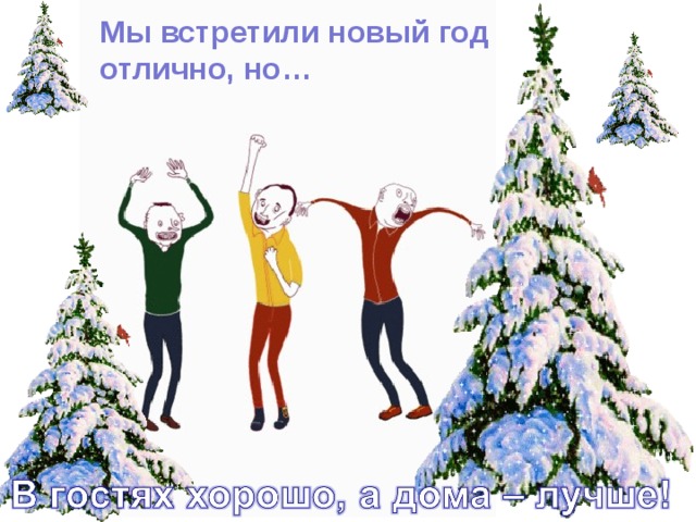 Мы встретили новый год отлично, но… 