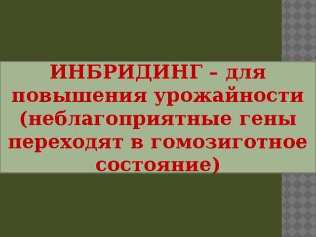 ИНБРИДИНГ – для повышения урожайности (неблагоприятные гены переходят в гомозиготное состояние) 