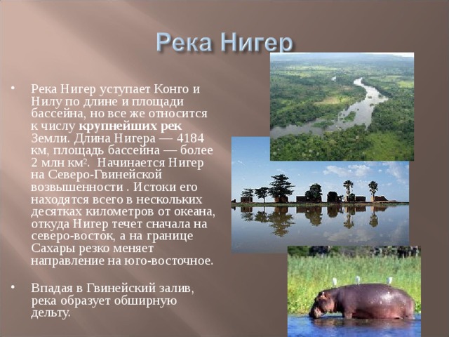 Река Нигер уступает Конго и Нилу по длине и площади бассейна, но все же относится к числу крупнейших рек Земли. Длина Нигера — 4184 км, площадь бассейна — более 2 млн км 2 . Начинается Нигер на Северо-Гвинейской возвышенности . Истоки его находятся всего в нескольких десятках километров от океана, откуда Нигер течет сначала на северо-восток, а на границе Сахары резко меняет направление на юго-восточное. Впадая в Гвинейский залив, река образует обширную дельту.  