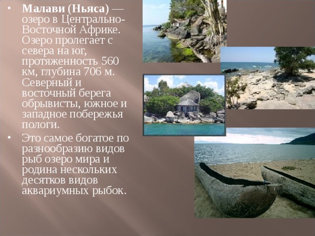 Малави ( Ньяса ) — озеро в Центрально-Восточной Африке. Озеро пролегает с севера на юг, протяженность 560 км, глубина 706 м. Северный и восточный берега обрывисты, южное и западное побережья пологи. Это самое богатое по разнообразию видов рыб озеро мира и родина нескольких десятков видов аквариумных рыбок. 