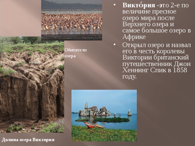 Викто́рия -э то 2-е по величине пресное озеро мира после Верхнего озера и самое большое озеро в Африке Открыл озеро и назвал его в честь королевы Виктории британский путешественник Джон Хеннинг Спик в 1858 году.   Обитатели озера Долина озера Виктория 