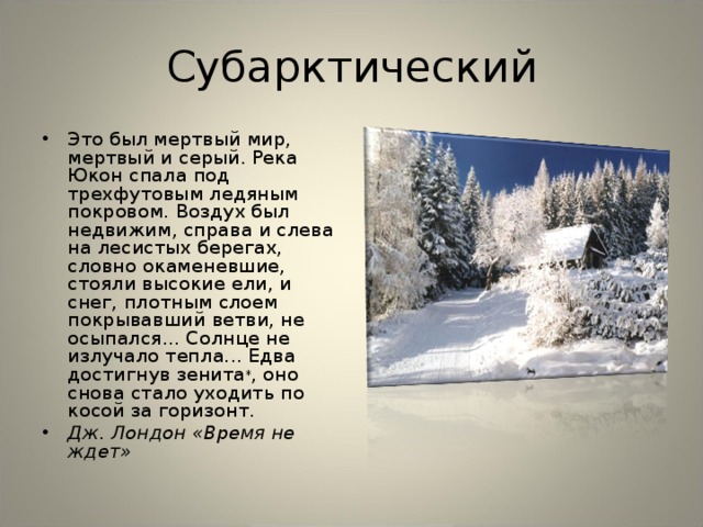 Субарктический Это был мертвый мир, мертвый и серый. Река Юкон спала под трехфутовым ледяным покровом. Воздух был недвижим, справа и слева на лесистых берегах, словно окаменевшие, стояли высокие ели, и снег, плотным слоем покрывавший ветви, не осыпался... Солнце не излучало тепла... Едва достигнув зенита * , оно снова стало уходить по косой за горизонт. Дж. Лондон «Время не ждет»  