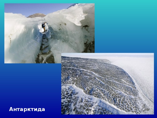 Антарктида 