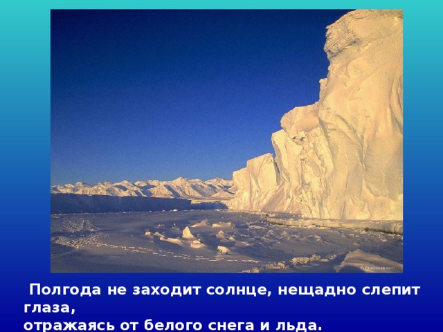  Полгода не заходит солнце, нещадно слепит глаза, отражаясь от белого снега и льда. 