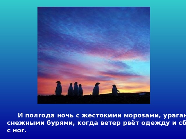  И полгода ночь с жестокими морозами, ураганами, снежными бурями, когда ветер рвёт одежду и сбивает с ног. 