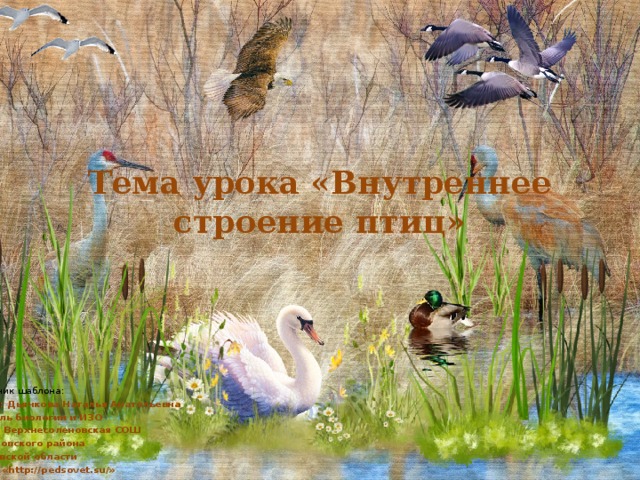 Тема урока «Внутреннее строение птиц» источник шаблона: Автор: Дьячкова Наталья Анатольевна учитель биологии и ИЗО МБОУ Верхнесоленовская СОШ Веселовского района Ростовской области сайта «http://pedsovet.su/» 