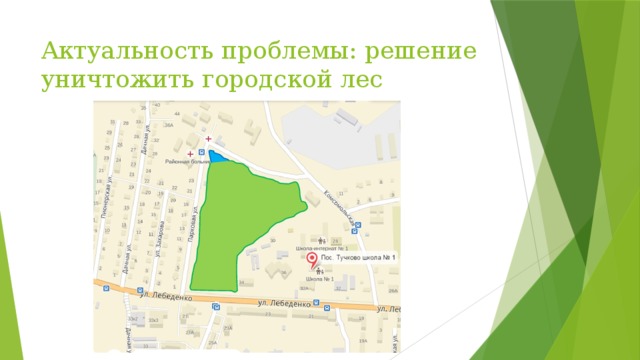 Актуальность проблемы: решение уничтожить городской лес 