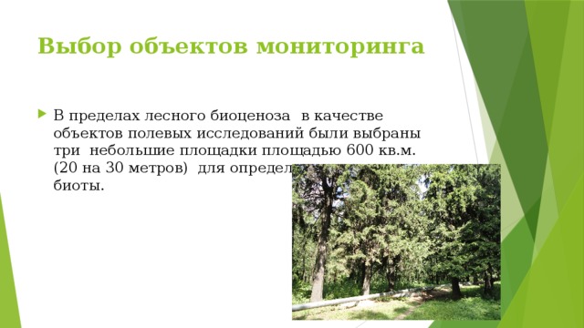 Выбор объектов мониторинга В пределах лесного биоценоза  в качестве объектов полевых исследований были выбраны три небольшие площадки площадью 600 кв.м. (20 на 30 метров) для определения состояния биоты.  