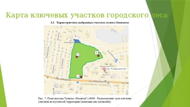 Карта ключевых участков городского леса 