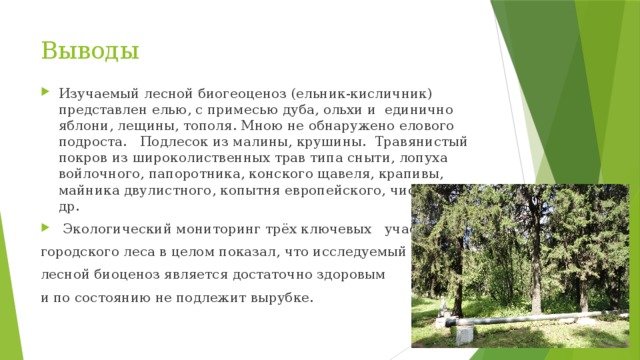 Выводы Изучаемый лесной биогеоценоз (ельник-кисличник) представлен елью, с примесью дуба, ольхи и единично яблони, лещины, тополя. Мною не обнаружено елового подроста. Подлесок из малины, крушины. Травянистый покров из широколиственных трав типа сныти, лопуха войлочного, папоротника, конского щавеля, крапивы, майника двулистного, копытня европейского, чистотела и др.  Экологический мониторинг трёх ключевых участков городского леса в целом показал, что исследуемый лесной биоценоз является достаточно здоровым и по состоянию не подлежит вырубке. 