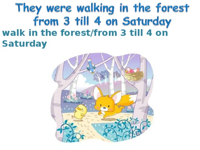 walk in the forest/from 3 till 4 on Saturday 