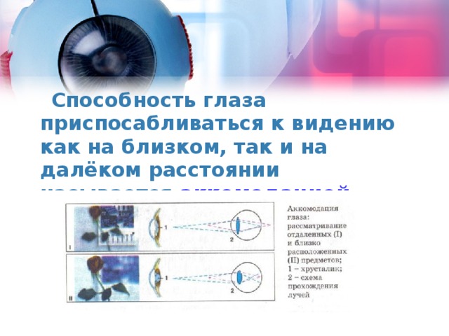  Способность глаза приспосабливаться к видению как на близком, так и на далёком расстоянии называется аккомодацией глаза.  