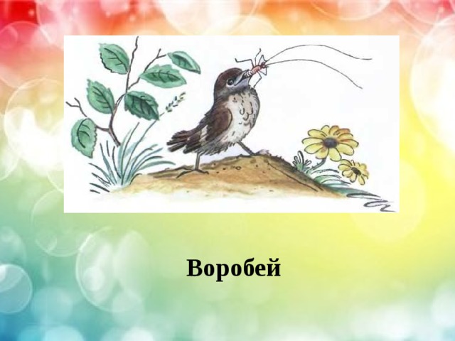 Воробей 