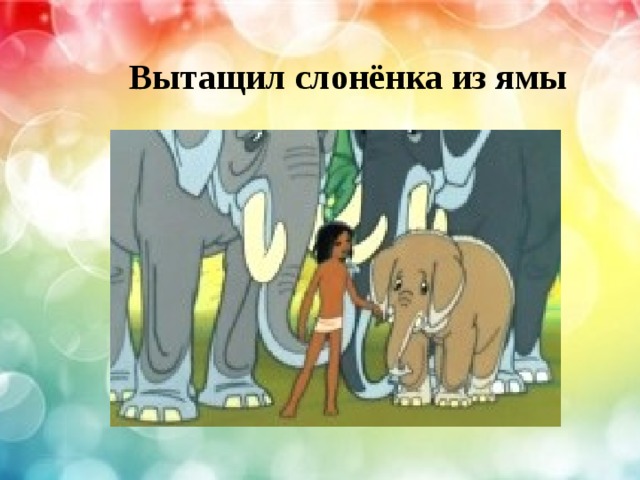 Вытащил слонёнка из ямы 