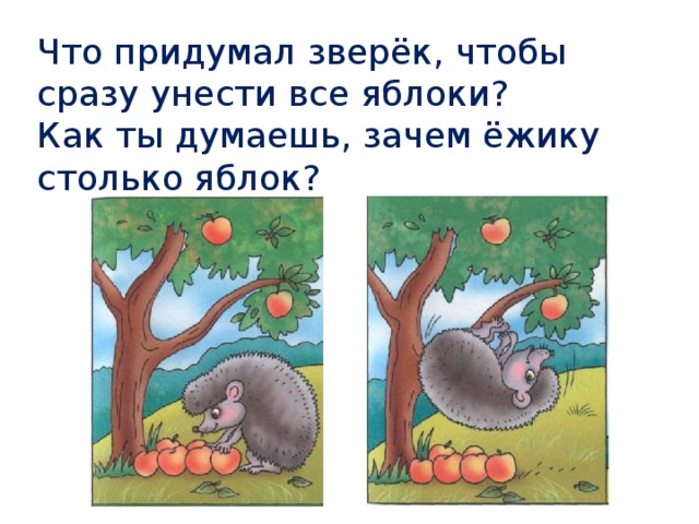 Что придумал зверёк, чтобы сразу унести все яблоки? Как ты думаешь, зачем ёжику столько яблок? 
