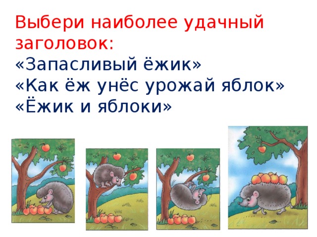 Выбери наиболее удачный заголовок: «Запасливый ёжик» «Как ёж унёс урожай яблок» «Ёжик и яблоки» 