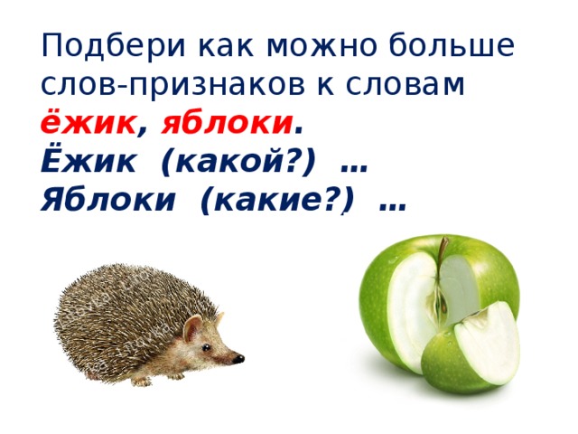 Подбери как можно больше слов-признаков к словам ёжик , яблоки . Ёжик (какой?) … Яблоки (какие?) … 