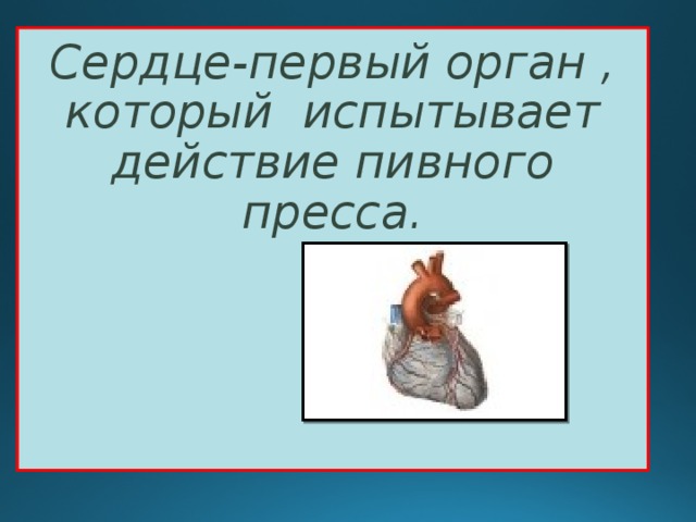 Сердце-первый орган , который испытывает действие пивного пресса. 