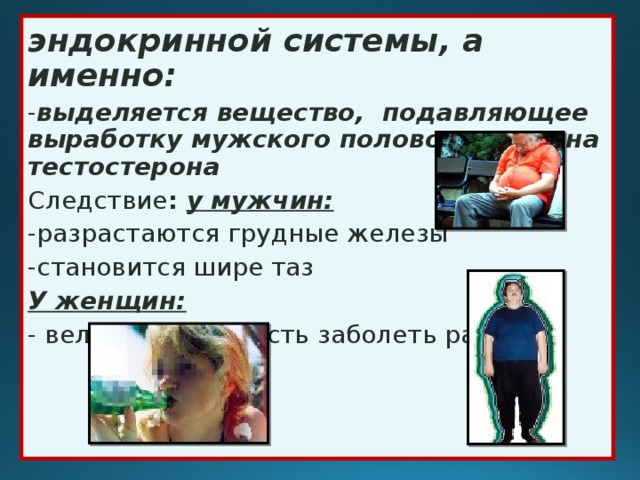 эндокринной системы, а именно: - выделяется вещество, подавляющее выработку мужского полового гормона тестостерона Следствие : у мужчин: -разрастаются грудные железы -становится шире таз У женщин: - велика вероятность заболеть раком 