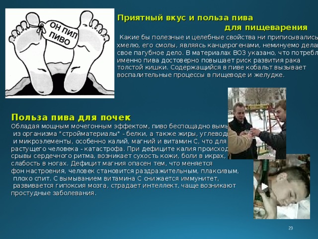 Приятный вкус и польза пива  для пищеварения  Какие бы полезные и целебные свойства ни приписывались хмелю, его смолы, являясь канцерогенами, неминуемо делают свое пагубное дело. В материалах ВОЗ указано, что потребление именно пива достоверно повышает риск развития рака толстой кишки. Содержащийся в пиве кобальт вызывает воспалительные процессы в пищеводе и желудке. Польза пива для почек Обладая мощным мочегонным эффектом, пиво беспощадно вымывает  из организма 